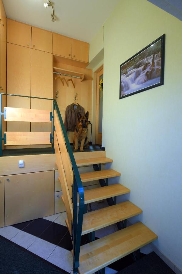 Ferienappartement Regina Schrems  Exteriér fotografie